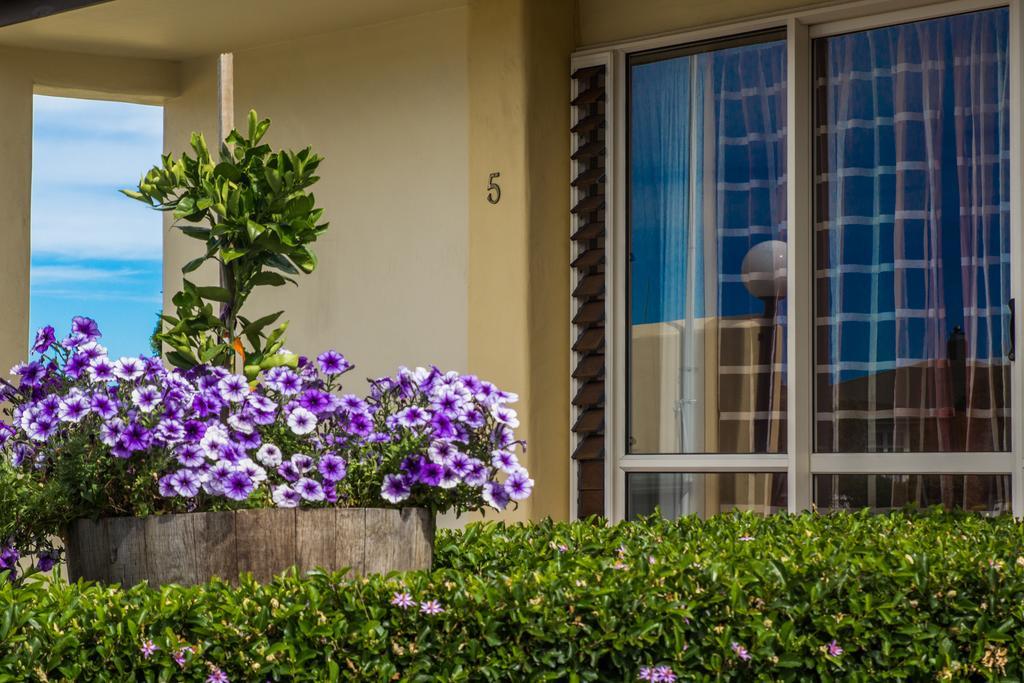 Bella Tuscany Motor Lodge Napier Ngoại thất bức ảnh